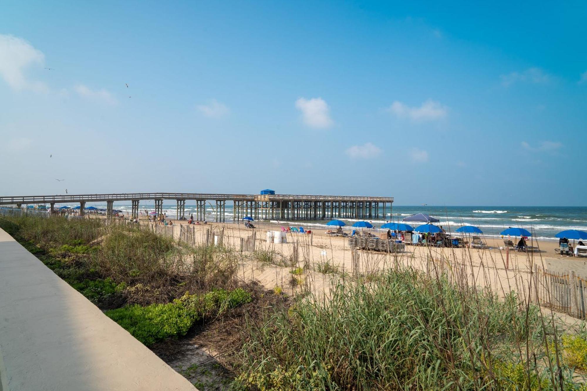 Herons Haven Coastal Elegance With Pool Access 223 South Padre Island Luaran gambar